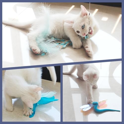 SONGWAY Cat Wand Toys for Indoor Cats - Cat Toy Set with Retractable Teaser Wand and 6 PCS Fairy Feather Toy Refills, Drag...