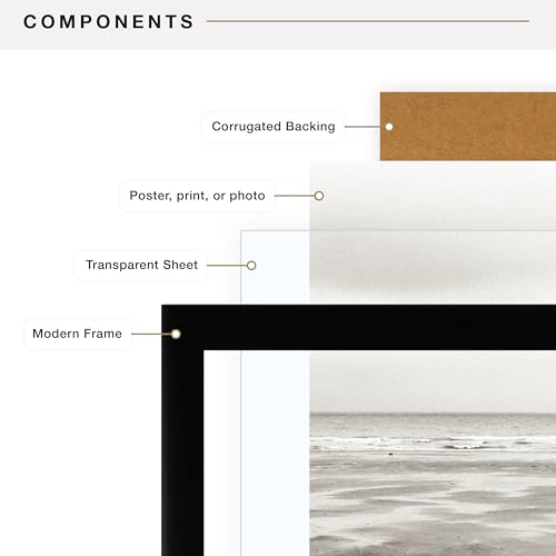 MCS Foundation 18x24 Poster Frame Traditional Black, Vertical & Horizontal Wall Hanging Large Picture Frame for Photos, Po...