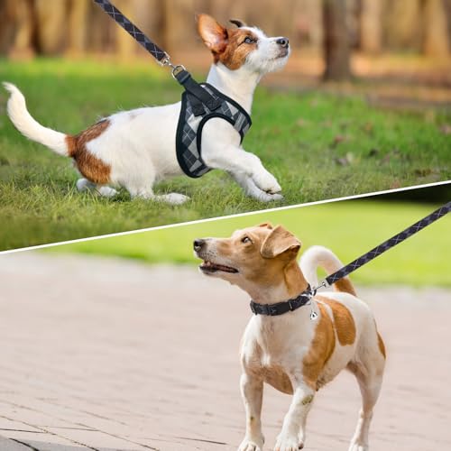 SCENEREAL Small Dog Harness and Leash Collar Set, Step in No Pull Soft Mesh Dog Harnesses for Small Medium Sized Dogs Pupp...