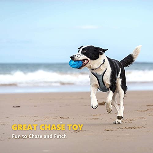 EASTBLUE Squeaky Dog Toys for Aggressive Chewers: Rubber Puppy Chew Ball with Squeaker, Almost Indestructible and Durable ...