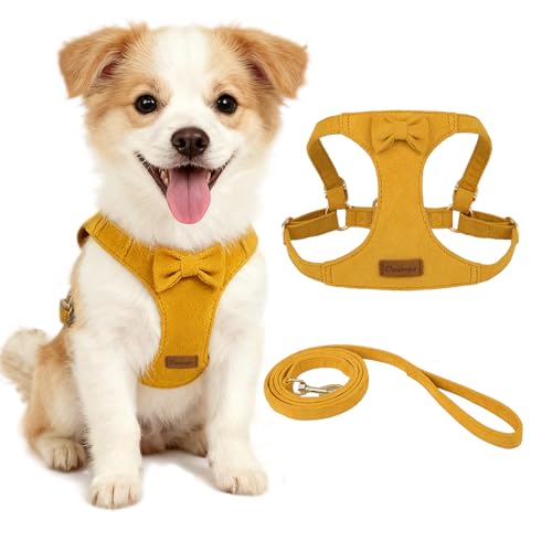 Vinqki Cute Small Dog Harness and Leash Puppy Set with Bowtie,Step in Dog Harnesses,Soft Adjustable Cat & Dog Vest,Harness...