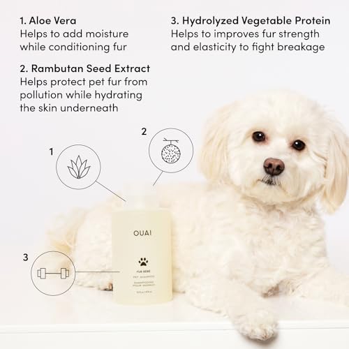 OUAI Fur Bébé Pet Shampoo - Cat & Dog Shampoo for Gentle Cleansing, Hydration & Shine - Vegan & Cruelty-Free Pet Supplies ...