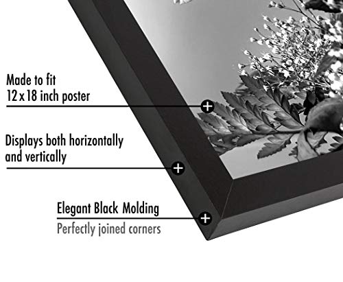 Americanflat 12x18 Poster Frame with Polished Plexiglass - Black Picture Frame - Wide Photo Frames Made of Engineered Wood...