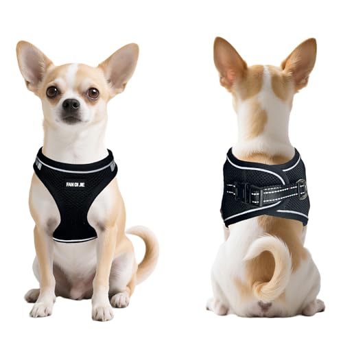 Dog Harness and Leash Set, No Pull Soft Mesh Pet Harness -in Puppy Pet Vest Harnesses for XS,Small,Medium Dogs and Cats Bl...