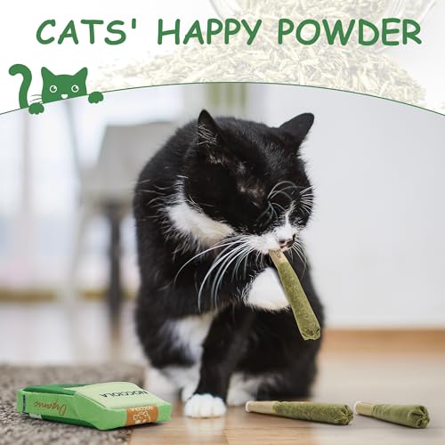 Nocciola 3 Pack Catnip Toys for Cats, Funny Cat Toys Filled with 100% Pure Organic Catnip, Safe Kitten Teething Chew and K...