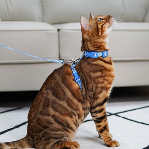 azuza Cat Harness and Leash Set for Safe Walking and Travel, Escape Proof Cat Harness, Lightweight Soft and Comfortable, A...