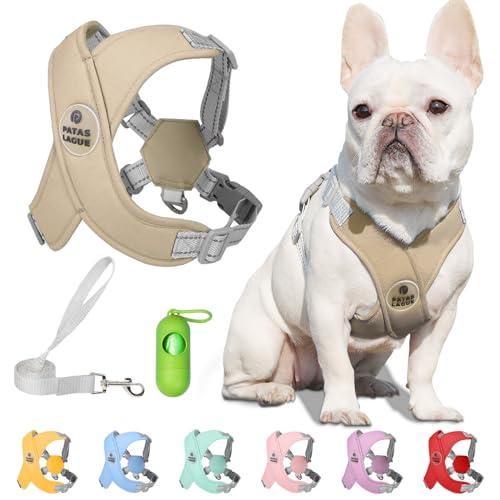 Patas Lague Dog Harness with Leash Set Adjustable Soft Padded Step-in Dog Vest No Choke No Pull Reflective for Small Mediu...