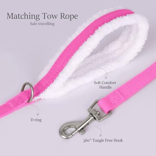 Didog Small Dog Harness and Leash Set, No Pull Adjustable Soft Padded Dog Harness Vest for XS Small and Medium Sized Dogs...