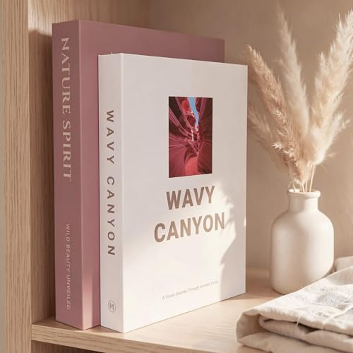 MAOBUYOU Elegant Decorative Books - Set of 2 Stylish Fake/FauxBook Boxes for Coffee Table, Bookshelf and Mantel Decor, Mod...