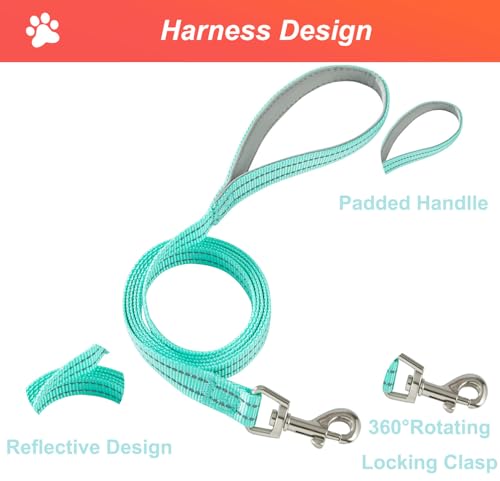 Hipubby Dog Harness Small Sized and Leash Set, No Pull Soft Mesh Puppy Vest, Reflective Breathable Lightweight Pet Harnes...