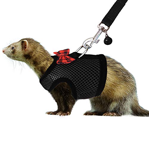 Rypet Small Animal Harness and Leash - Soft Mesh Pet Harness with Safe Bell, No Pull Comfort Padded Vest for Small Pet Bla...