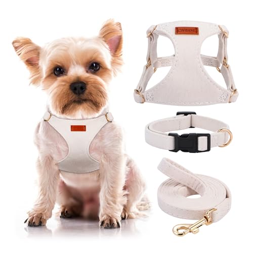 No Pull Dog Harness- Lightweight, Soft, Adjustable Small Harness Collar and Leash Set, Suitable for Cats Puppy Small and M...