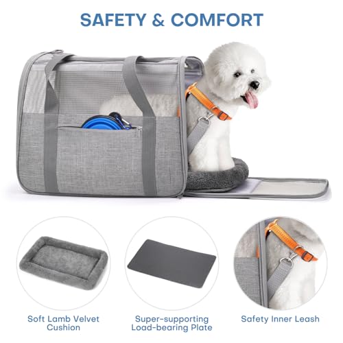 JUNGYOUN Premium Cat Carrier - Pet Carrier for Cat & Small Dogs up to 15lbs - Airline Approved Travel Dog Carrier with ...