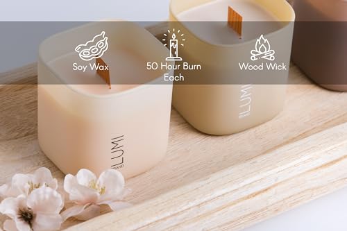 Set of 3 Premium Scented Soy Candles Gift Set | Nature's Bloom Collection - Gardenia, Hilton Garden and Rose & Oud | Crack...