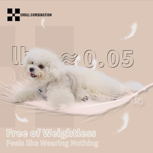 SMALL COMBINATION Adjustable Dog Harness with Leash, Reflective Mesh, No-Pull Design，Matching Lead Rope (Cream-Coloured, S)