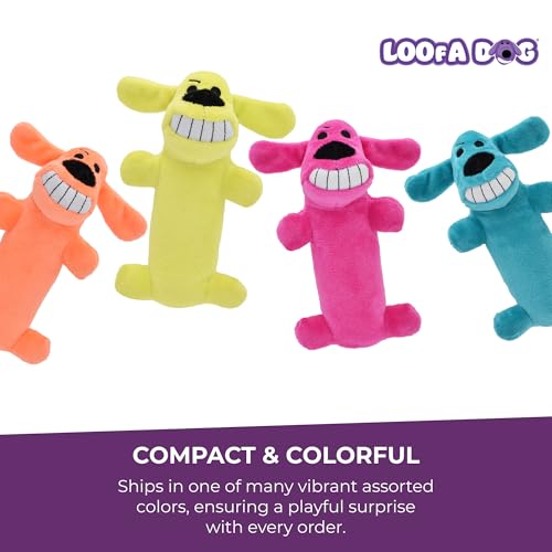 Multipet Original Loofa Dog Plush Toy - Squeaky Toy for All Dogs - Extra Soft Plush - Stuffed Animal Dog Toys for Playing...