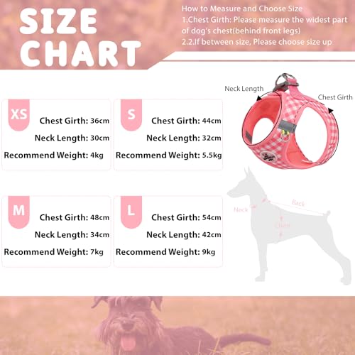 Gyuzh Dog Harness and Leash Set,Soft Mesh Breathable Small Dog Harness,Reflective Adjustable Puppy Harness,No Pull Pet Har...