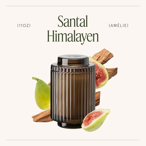 LA JOLIE MUSE Santal Himalayen Candle, Amber Scented Candles Gifts for Women, Natural Soy Candle, Candles for Home Scente...