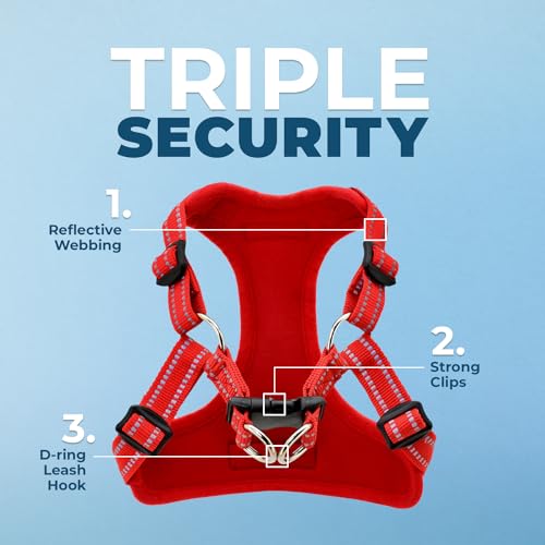 Best Pet Supplies Voyager Adjustable Step-in Flex Breathable Mesh Dog Harness for Small Medium Large Dogs (Red), M