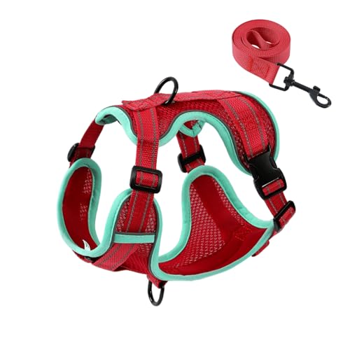 PAWDAY No-Pull Dog Harness with Dog Leash Breathable Mesh Adjustable Soft Padded Pet Vest Reflective for Small/Medium/Larg...