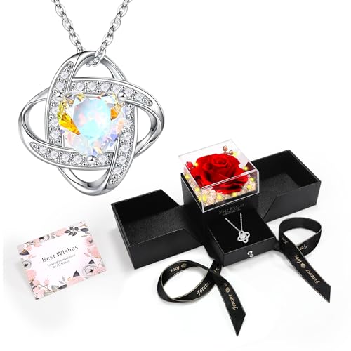 Mealcon Eternal Preserved Red Rose with Necklace Gift Box Romantic Real Flower for Women Ideal for Birthday, Anniversary, ...