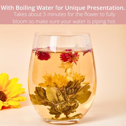 Blooming Tea Flowers Gift Set, 10 Unique Varieties Flowering Tea Balls, Individual Packing Handmade Blooming Balls for Ann...