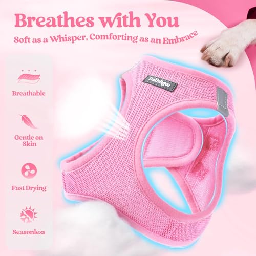 rabbitgoo Dog Harness Small Sized and Leash Set, Step in Soft Light Puppy Vest, Breathable Mesh Pet Harness, Reflective fo...