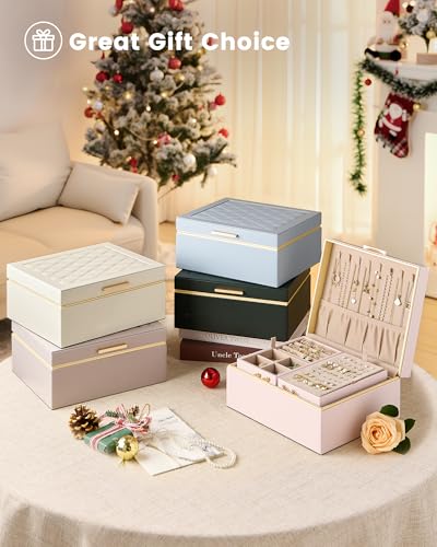Lolalet Jewelry Box Organizer for Women Girls, 2 Layer Jewelry Organizers and Storage for Necklace Earrings Rings Bracelet...