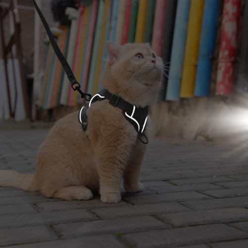 Skmeditec Cat Harness and Leash Set: Upgraded Escape Proof Vest with Lead for Large Cat Small Dog Puppy Walking, Soft Jack...