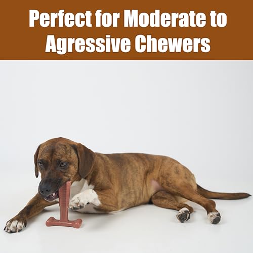 SPOT Bam-Bones Plus T Bone – Bamboo Fiber & Nylon Dog Chew Toy for Moderate to Aggressive Chewers, Durable Long Lasting & ...