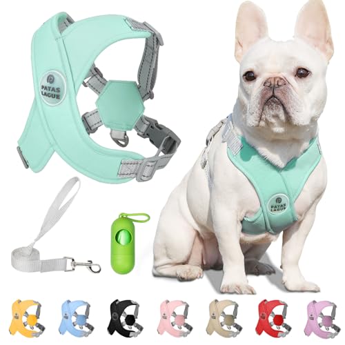 Patas Lague Dog Harness with Leash Set Adjustable Soft Padded Step-in Dog Vest No Choke No Pull Reflective for Small Mediu...