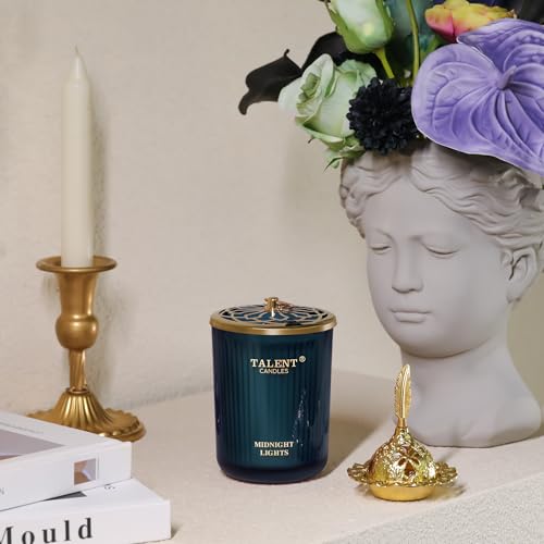 Talent Candles Jar Candles for Home Scented, Aromatherapy Candles Gifts for Women & Men, Natural Soy Candle, 8.4oz Traditi...