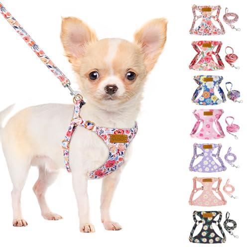 SlowTon No Pull Dog Harness with Leash - Soft Lightweight Floral Pattern Puppy Harness, Adjustable Pet Harness for Small M...