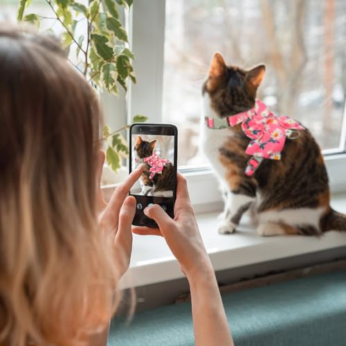 PAWCHIE Cat Harness and Leash Set with Bow Knot,Cats Escape Proof-Adjustable Daisy Floral Kitten Harness Soft Outdoor Walk...