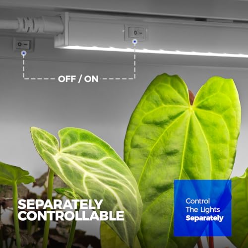 Barrina T5 Grow Lights for Indoor Plants, 5000K Full Spectrum, 1FT LED Growing Lamp, Plant Light Strip, for Seed Starting,...