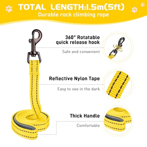 HIHANHAN Soft Mesh Dog Harness and Leash Set, No Pull Puppy Harness and Leash Set, Reflective Step in Harness for Small Me...