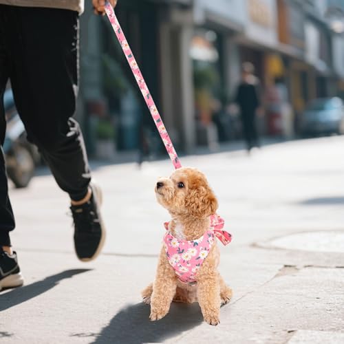 YKYUASD Dog Harness and Leash Set Adjustable Puppy Harness Mesh Vest Set Bow Knot Pet Clothes for Small Girl Dog Cat Summe...