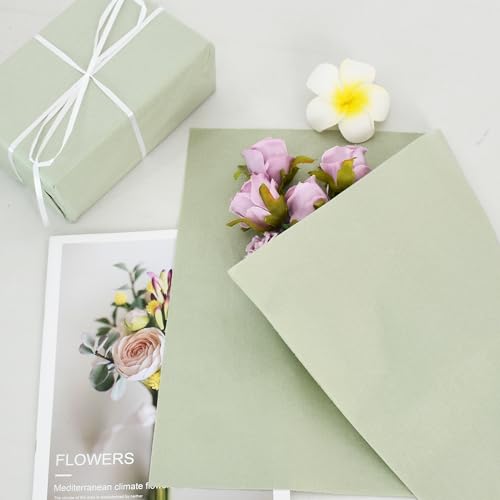 BEISHIDA 100 Sheets Sage Green Tissue Paper Bulk, Wrapping Tissue Paper for Gift Bags, 14 x 20 Inch Gift Wrap for Birthday...