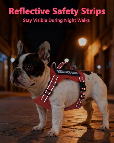 Service Dog Vest for Small Breed Dogs with ID Tag – Lightweight Puppy Harness and Leash Set with 6 PCS Patches, Ideal Serv...