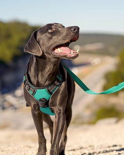 Joytale No Pull Dog Harness Medium Sized Dog, Reflective Pet Vest with Front Clip, Adjustable Soft Padded Harnesses with E...