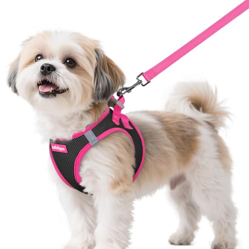 rabbitgoo Dog Harness Small Sized and Leash Set, Step-in Breathable Pet Harness, Soft Walking Reflective Puppy Vest for Sm...