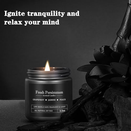 10 Pack Scented Candles for Men, Masculine Candle Gift Set with Woody & Fresh Scents, Soy Wax Aromatherapy Candles for Hom...