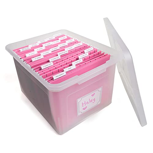 Kid's Craft Memory Keepsake Organizer Box - Clear Storage Latching Bin with Hanging File Folders and Custom Tab Inserts (P...