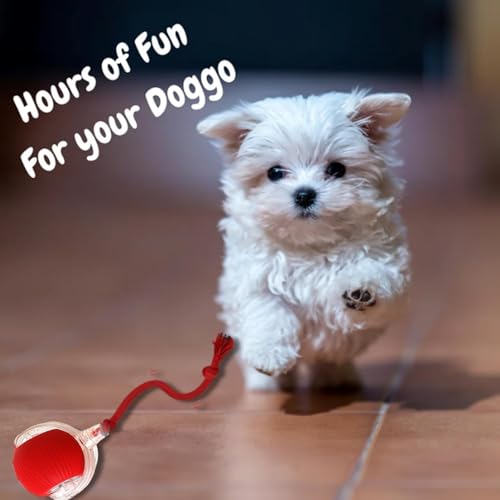 2 Packs Interactive Cat Toy,Electric DogBall Toy,Cat Toys For Indoor Cats,Chewie Viral Dog Ball,Adjustable Sports Rolling ...