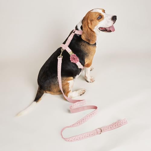 UOSIA Large Dog Harness and Leash Set, Adjustable No Pull Pet Halter Harness with Flower & Metal Buckle, Easy Control for ...