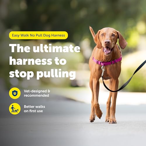 PetSafe Easy Walk Harness for Dogs - Pull-Free Walks - Patented Martingale Loop Design - Front Chest Leash Attachment - Ad...