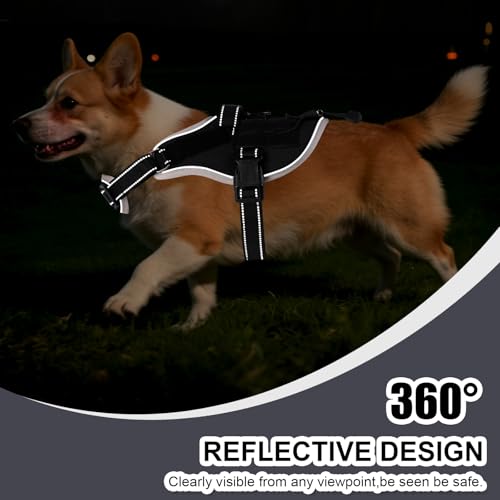 Service Dog Vest, No Pull Dog Harness Small Medium Sized Dog, Service Dog Harnesses and Leash Set, Reflective Easy Walk Do...