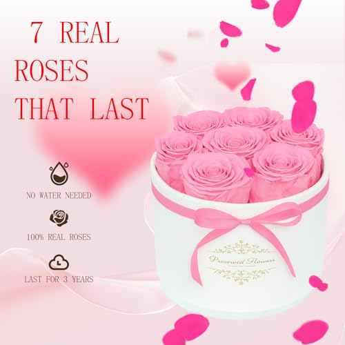 7 Forever Flowers in a Luxury Suede Box, Preserved Roses Birthday Gifts for Women, Romantic Anniversary Wedding Gifts for ...