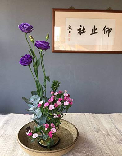 JapanBargain 3149, Japanese Ikebana Kenzan Flower Frog for Flower Arrangements Brass Floral Arranging Pin Needle Holder Ma...