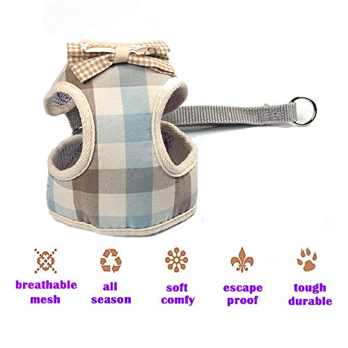 Puppy Harness and Leash Set for Walking Escape Proof Adjustable Soft Padded Mesh Front Vest Harness with Leash and Cute Bo...